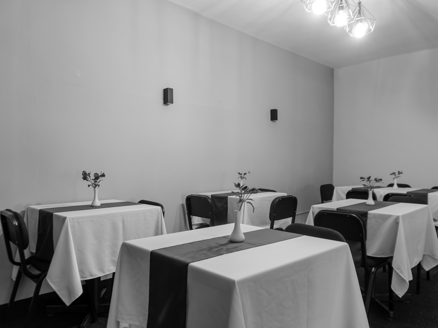 Foto de galería 5
