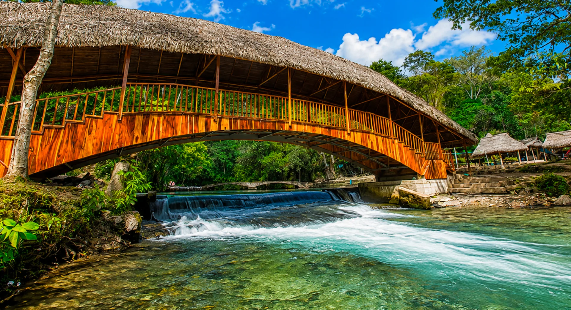 Bienvenido al corazón verde de la Amazonía